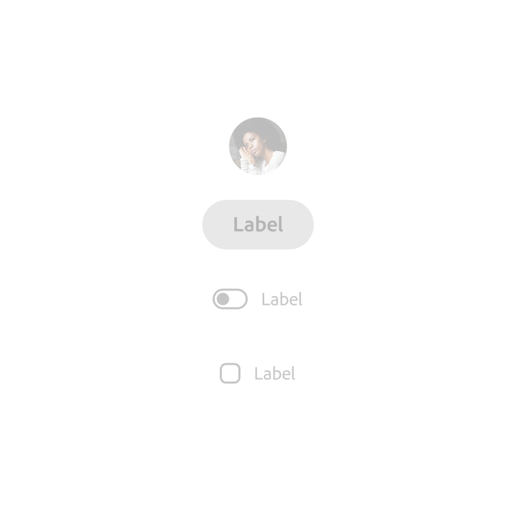 Disabled UI components shown in muted gray, including a circular avatar photo, a labeled button, a toggle switch with label, and a checkbox with label.