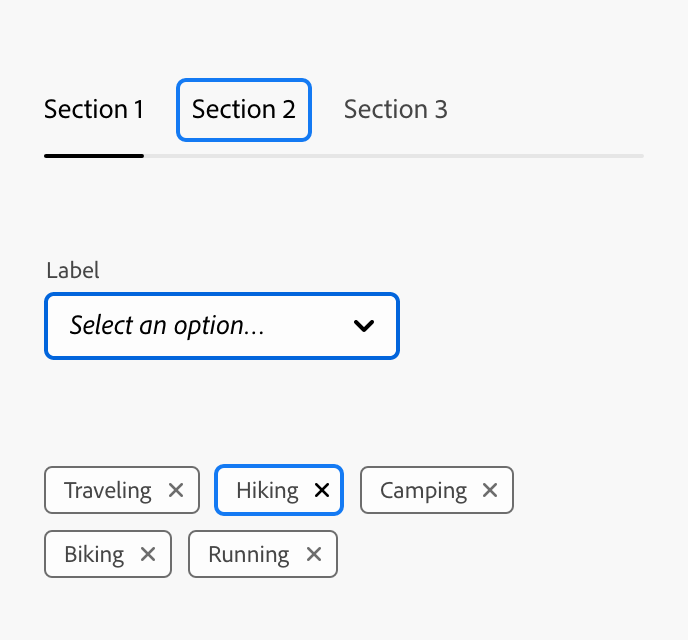 Example of visible keyboard focus indicators on a UI: a tab bar with "Section 1," "Section 2" (highlighted with a blue focus outline), and "Section 3"; a "Label" dropdown reading "Select an option..." with a blue focus outline; and a row of removable tags (Traveling, Hiking, Camping, Biking, Running), with "Hiking" highlighted by a blue focus outline.
