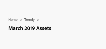 Key example of multiline breadcrumbs with items Home, Trendy, March 2019 Assets. March 2019 Assets shown as page title.