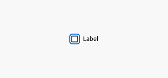 Checkbox with placeholder label, not selected, in focus.