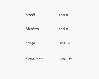 Image illustrating field label with necessity indicator sizing, beginning with the small size, then medium, large, and extra-large sizes.