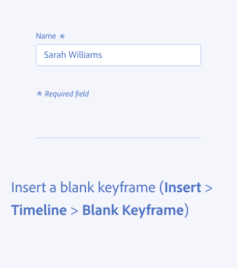 Key example of using asterisks. Two examples of correct usage. A form field shows a required field using an asterisk, field label Name, entered text Sarah Williams. Written instructions, text Insert a blank keyframe (Insert > Timeline > Blank Keyframe) using the directions in-line, no footnote.