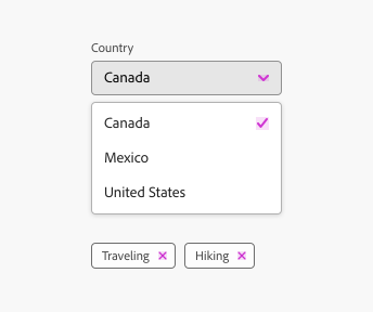 Key example showing UI icons in a dropdown in a selected state and two tags.