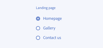 Key example showing the correct usage of label groups of radio button. The three radio buttons "Homepage", "Gallery" and "Contact us" are label with the text "Landing page". The first radio button is selected.