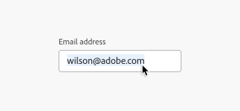 Key example of a read-only text field. Label, Email address. Input text, wilson@adobe.com. An arrow cursor hovers over and highlights the input text in blue, to copy it.