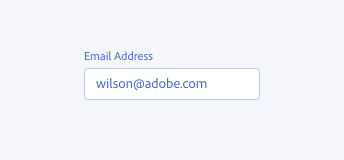 Key example showing the incorrect sentence case capitalization rule. The first letter of each word from the label "Email Address" are capitalized.