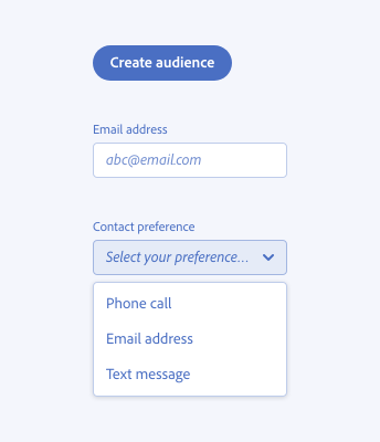 Key example showing correct usage of capitalization. Button labeled create audience with first word capitalized. Text field labeled email address with first word capitalized, placeholder text abc@email.com in all lowercase. Dropdown labeled contact preference with first word capitalized, placeholder text select your preference with first word capitalized, options phone call, email address, text message all with first word capitalized.